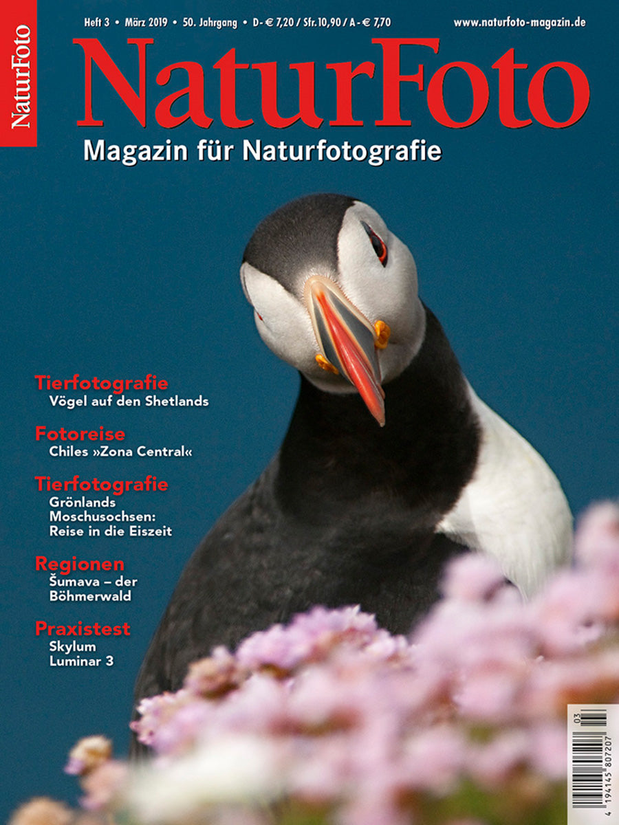 NaturFoto 3/2019